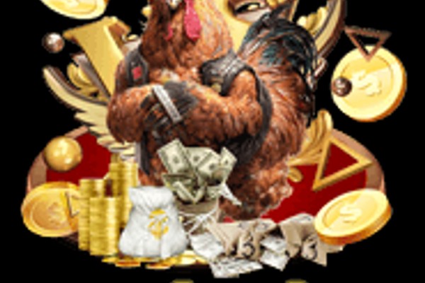 Đá gà Philippines cựa dao